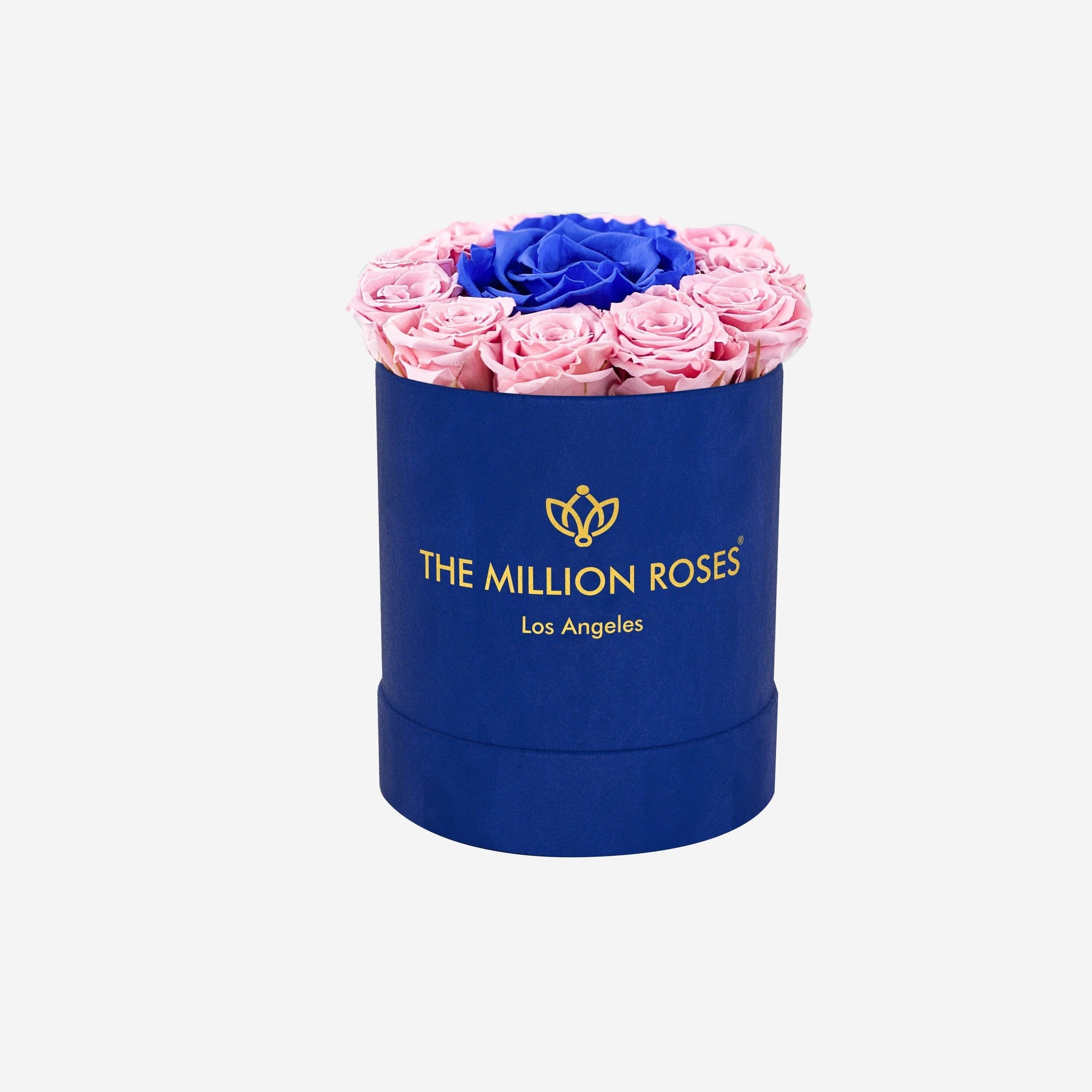Basic Caja de Gamuza Azul Rey | Rosas Rosado Pastel & Rosas Azul Rey  Miniatura | The Million Roses