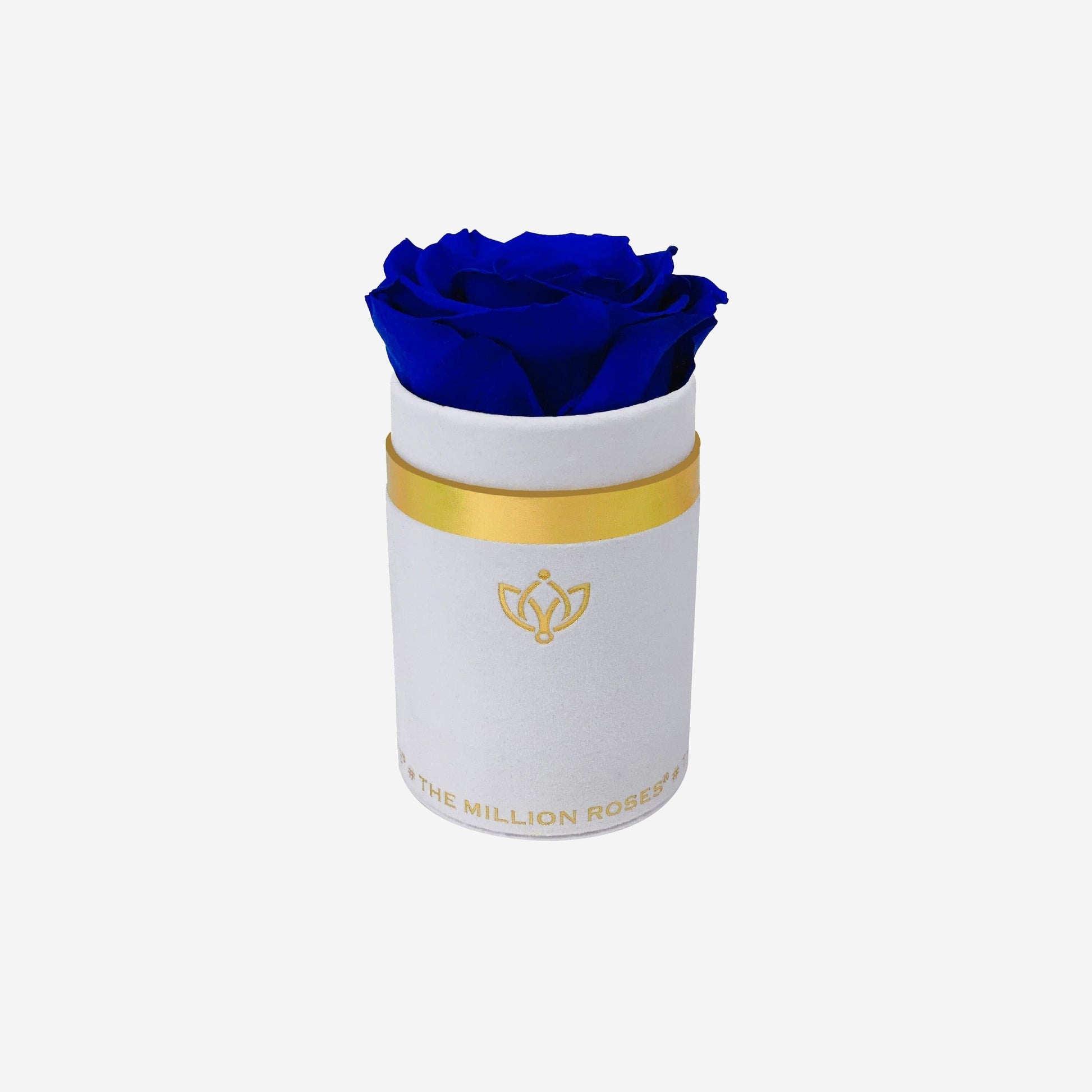 Single Caja de Gamuza Blanca | Rosa Azul Rey | The Million Roses