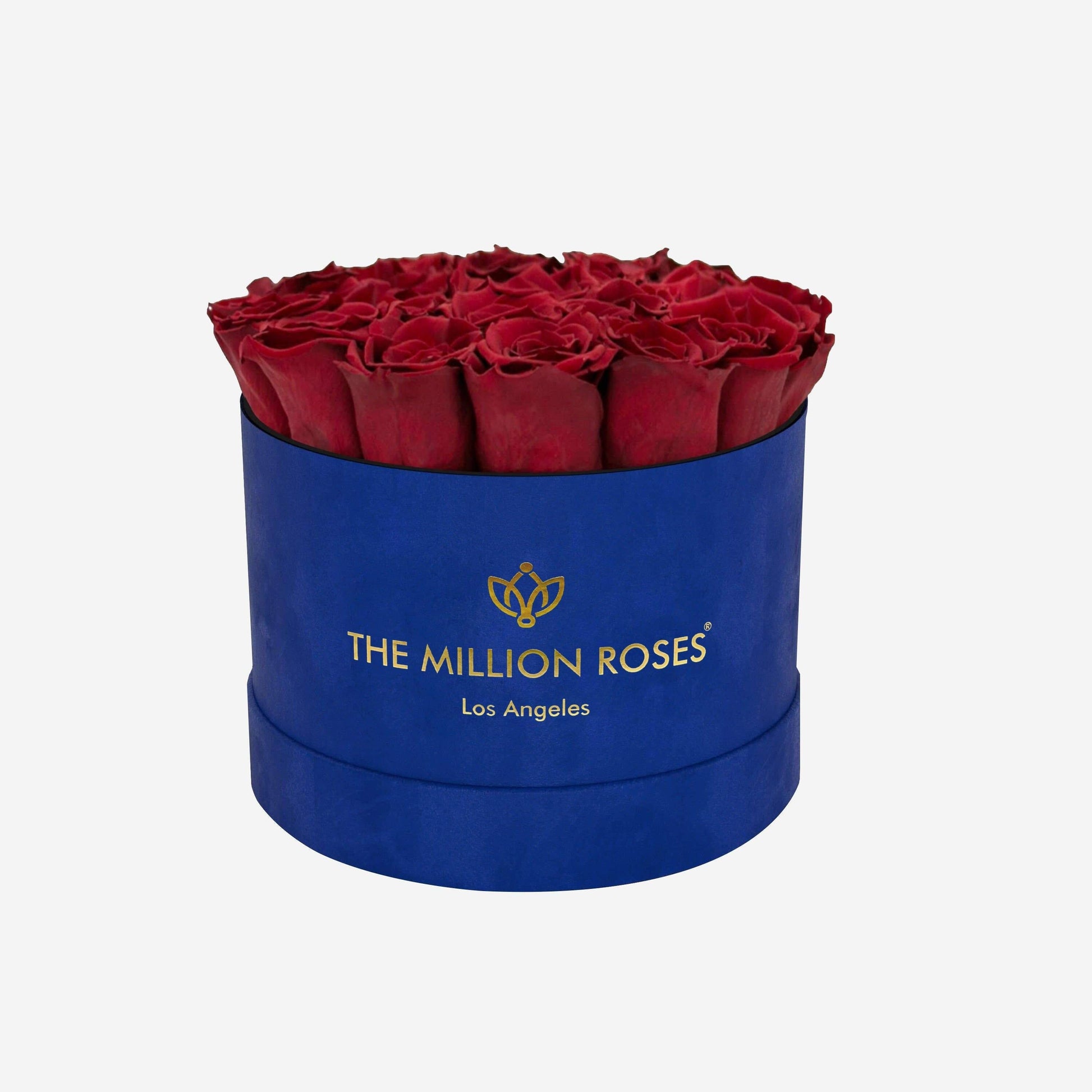 Classic Caja de Gamuza Azul Rey | Rosas Rojas | The Million Roses