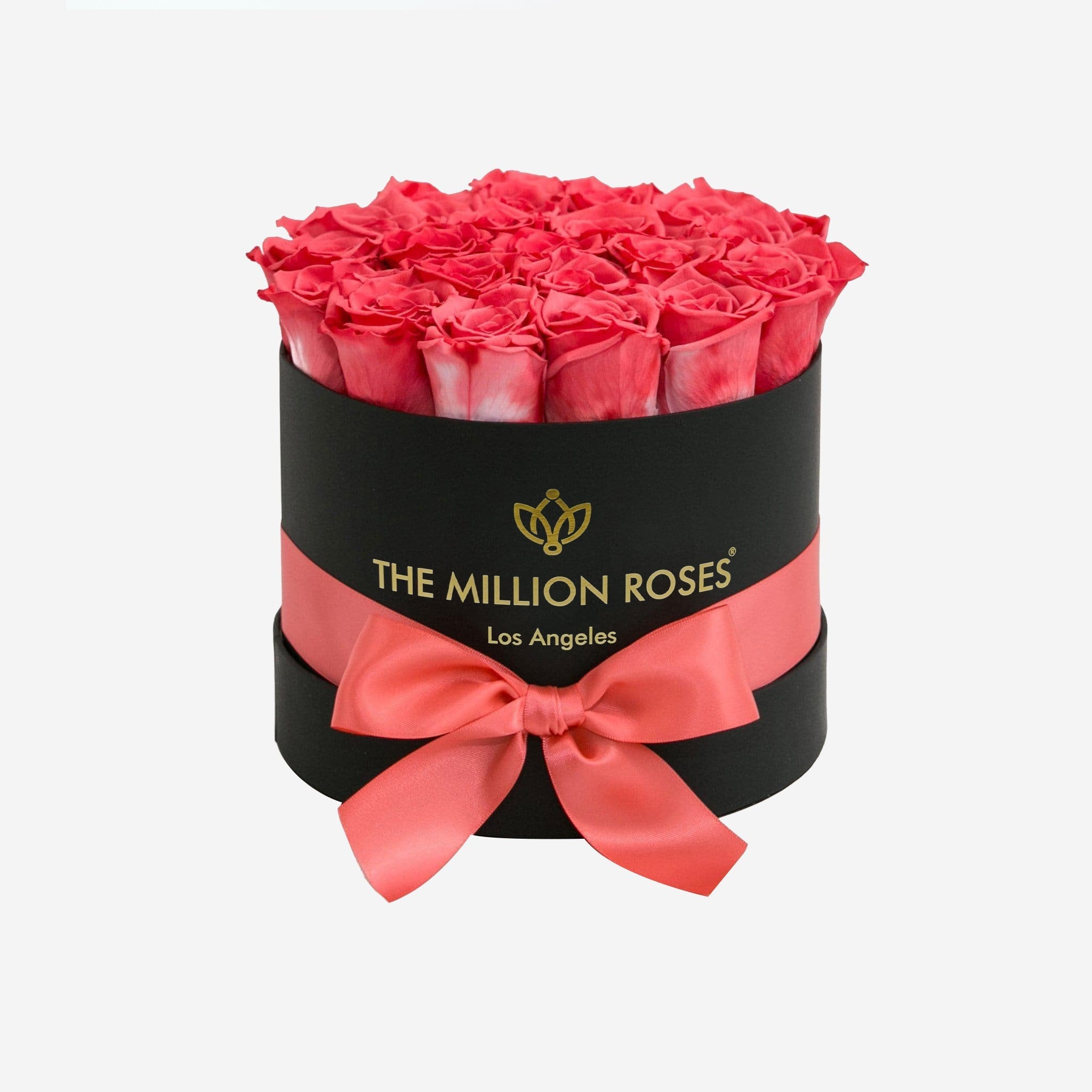 Coral Roses Roses in a Black Box The Million Roses