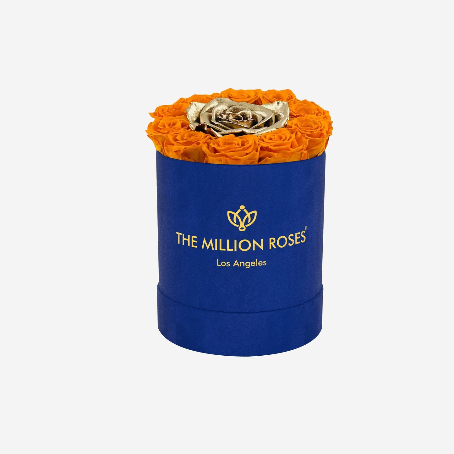 Basic Royal Blue Suede Box | Orange & Gold Mini Roses