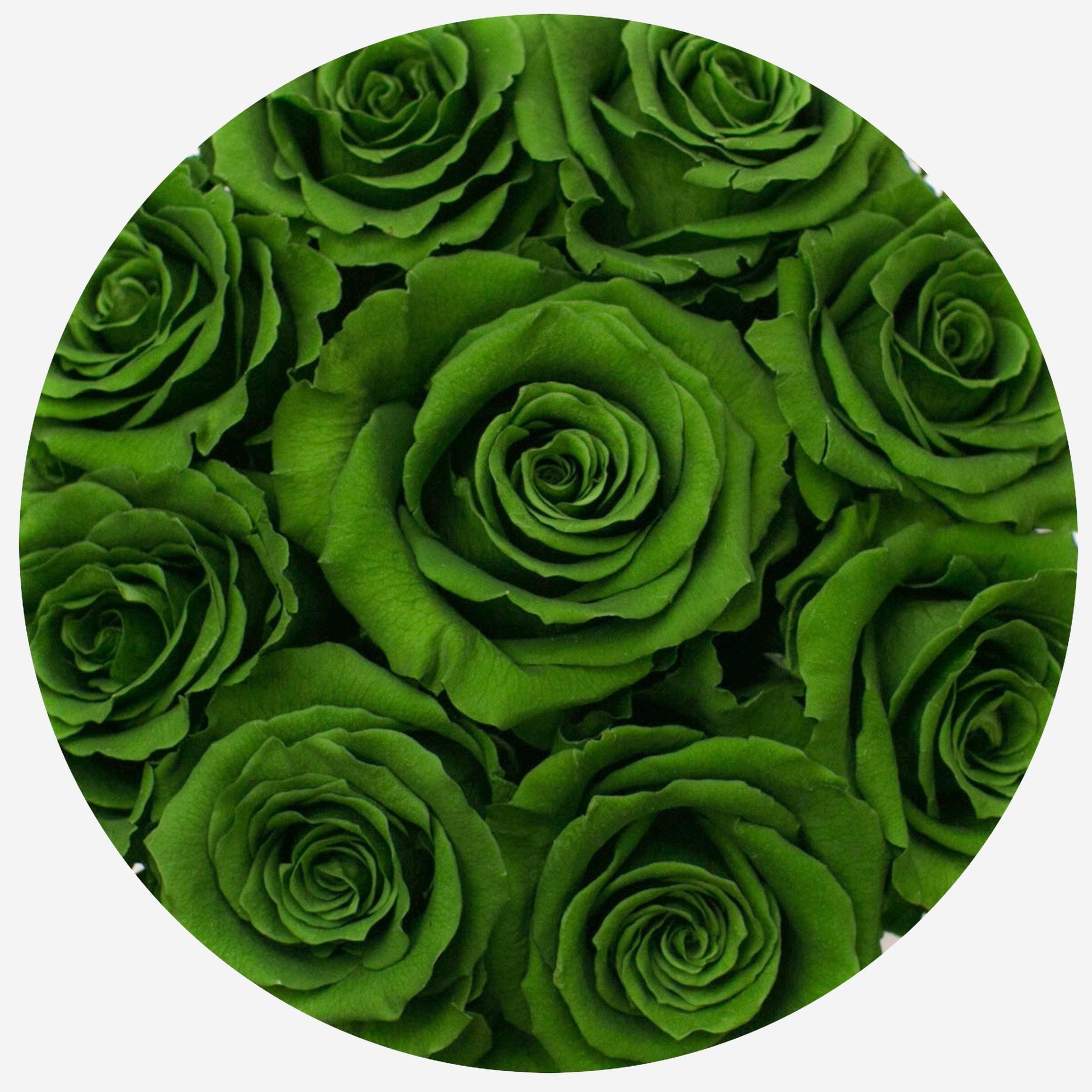 Basic Caja Blanca | Rosas Verde Oscuro | The Million Roses
