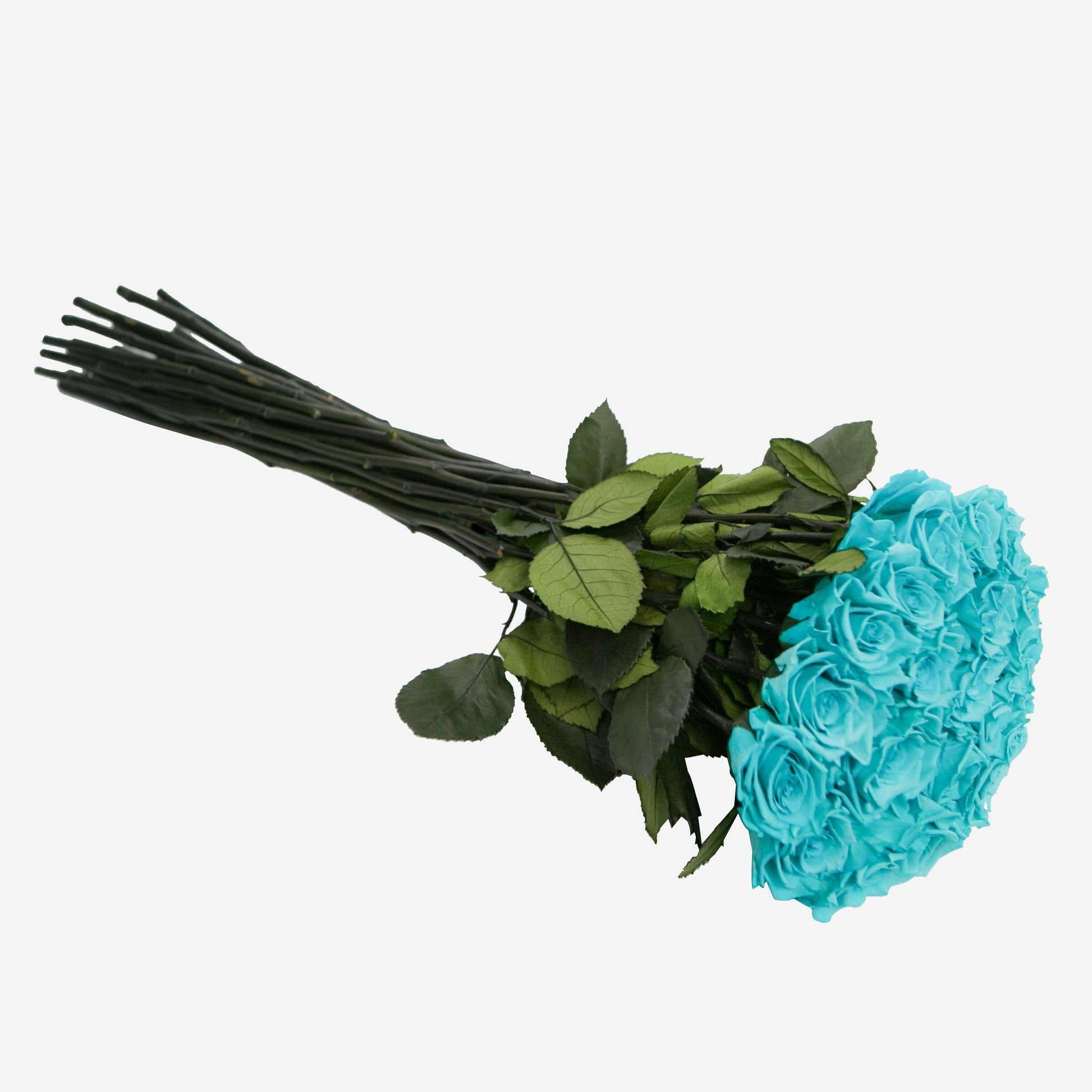 Rosas de Tallo Largo | Rosas Azul Tiffany | The Million Roses