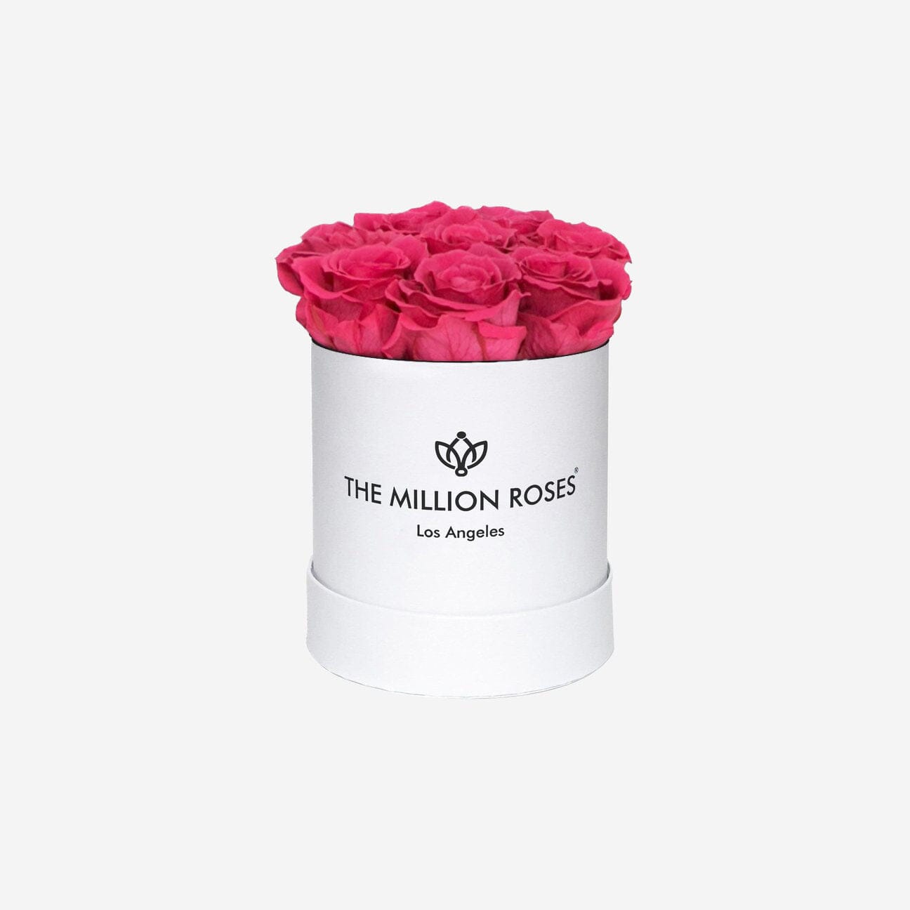 Boîte Basic Blanche | Roses Corail | The Million Roses
