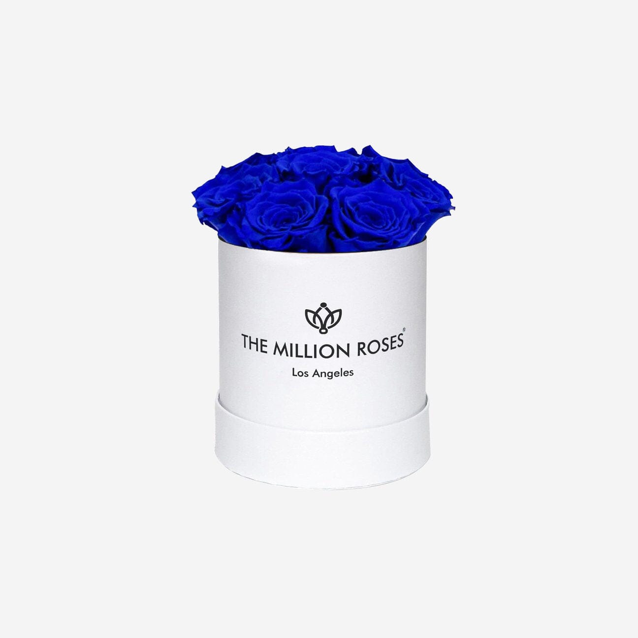 Basic Caja Blanca | Rosas Azul Rey | The Million Roses