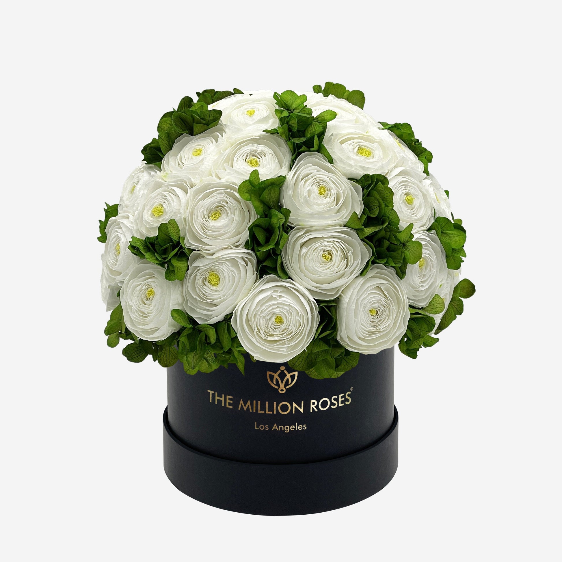 Classic Caja Negra | Ranúnculos Persas Blancos & Hortensias Verdes | The  Million Roses