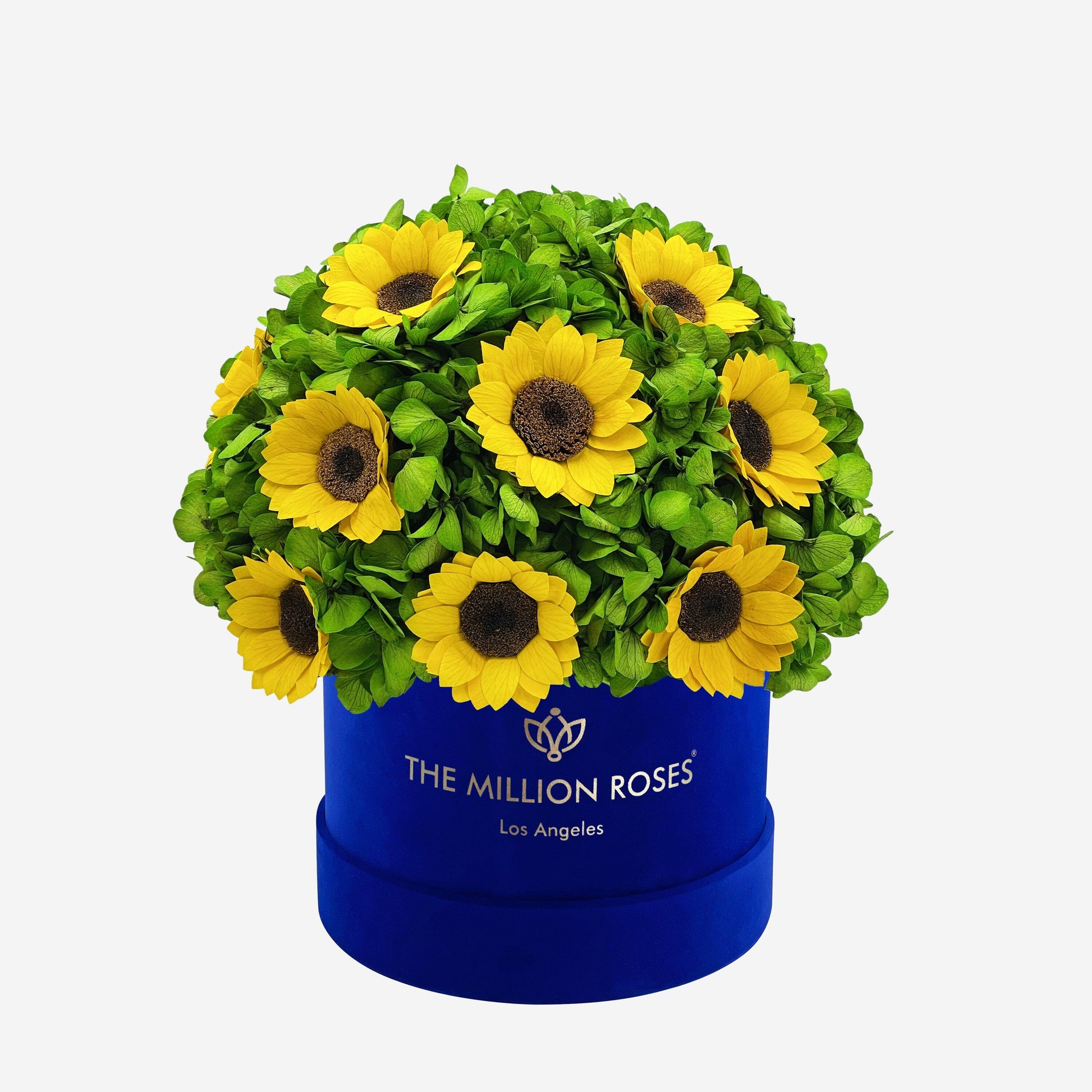 Classic Caja de Gamuza Azul Rey | Hortensias Verdes & Girasoles | The  Million Roses