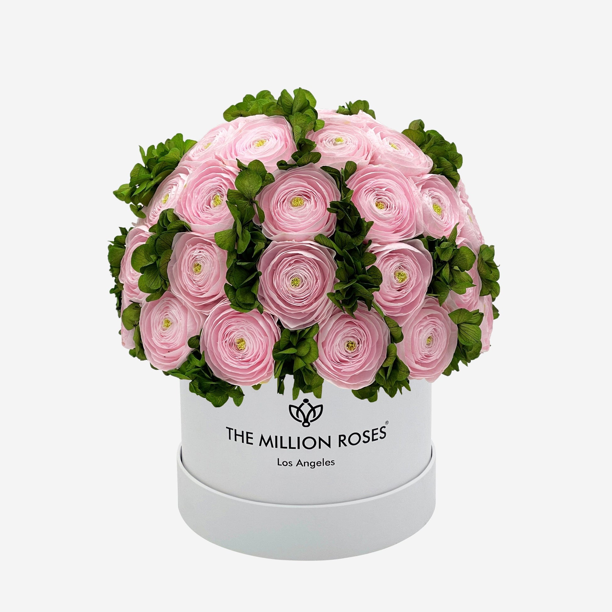 Boîte Classic Blanche | Renoncules de Perse Rose Clair & Hortensias Ve |  The Million Roses