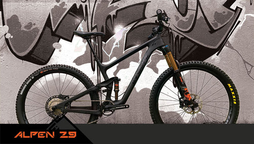 evolve dh bike