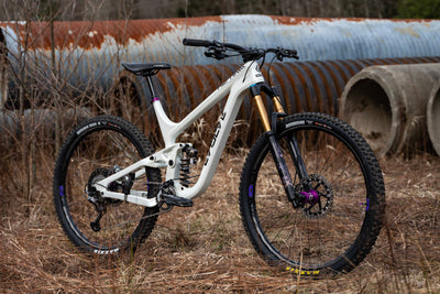 evolve dh bike