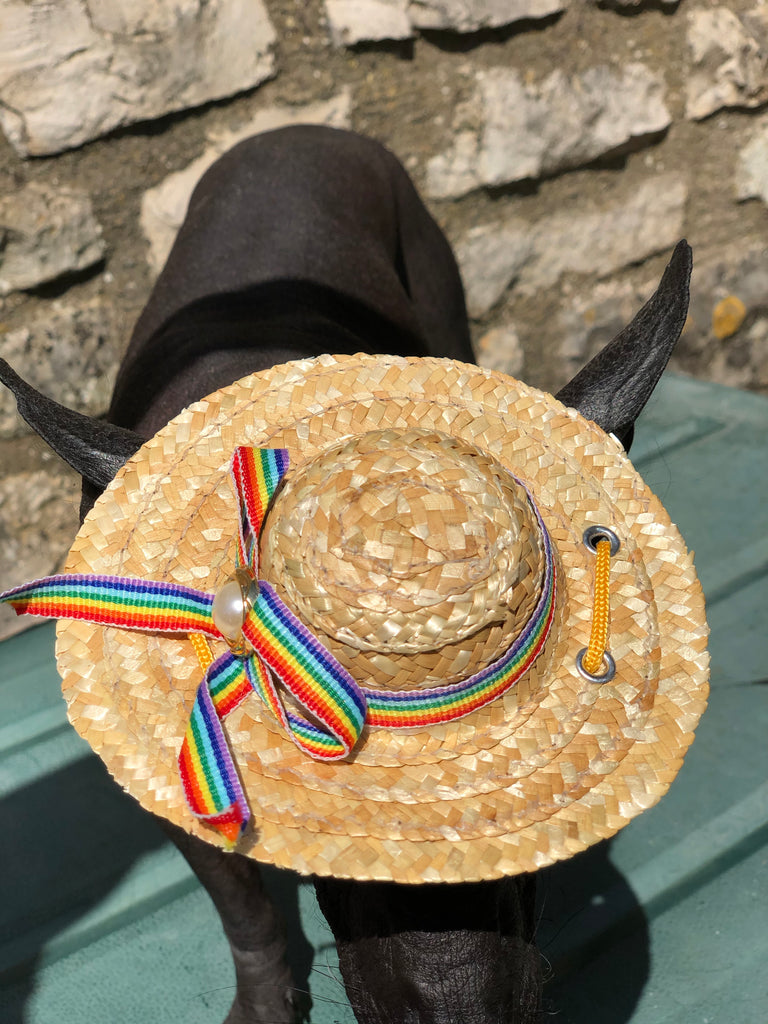 sunbonnet hat