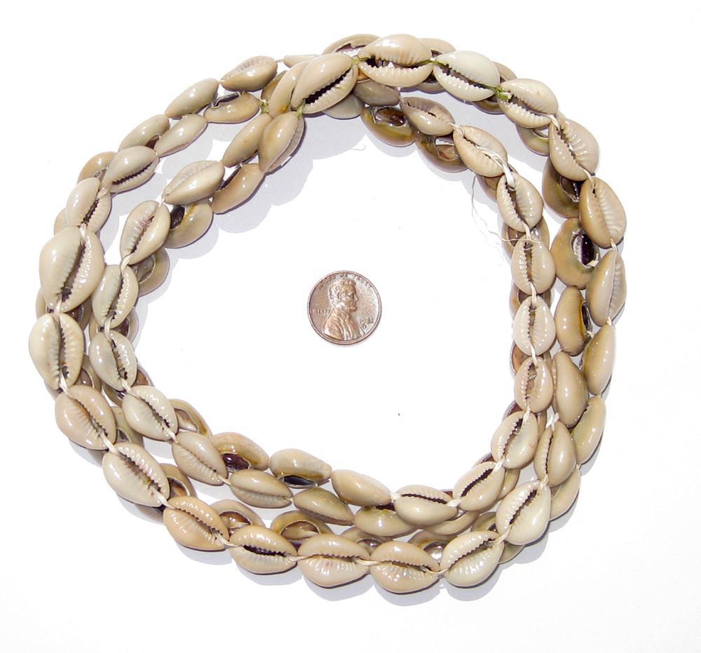 Kenyan Cowrie Shell Beads