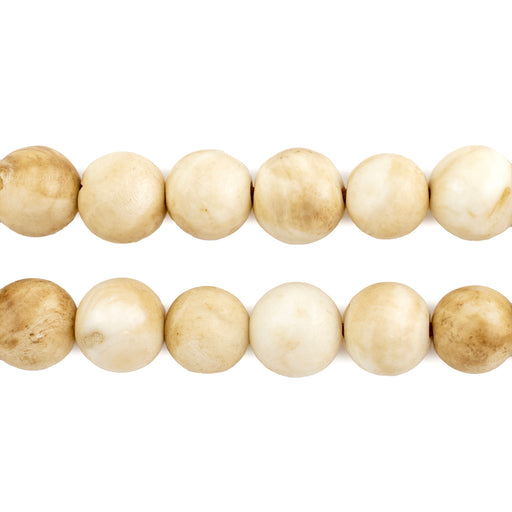 Vintage Style Naga Conch Shell Beads (14mm) — The Bead Chest