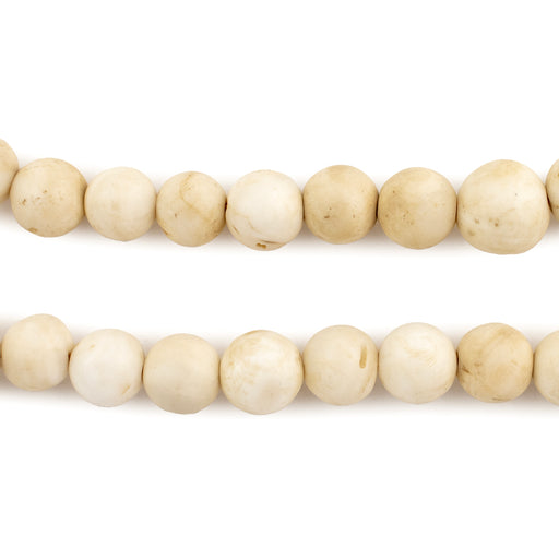 Vintage Style Naga Conch Shell Beads (14mm) — The Bead Chest