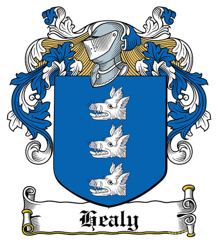 Healy family crest