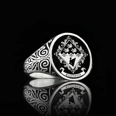 Healy family crest ring