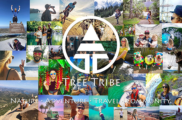Tree Tribe collage of adventurers