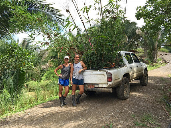 Working in the field