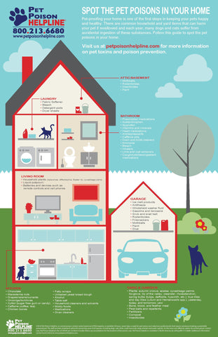 Pet Poison Awareness Infographic