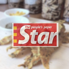 The Star: Barkery Treats