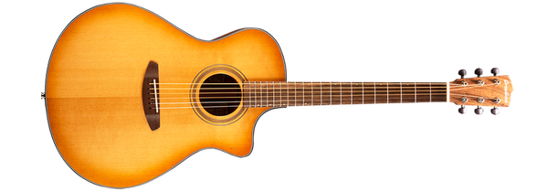 breedlove organic signature