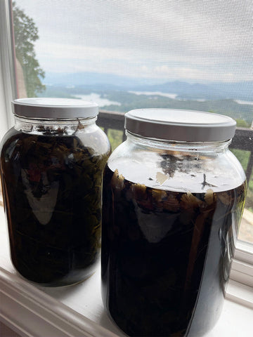 Echinacea Extract in Jars