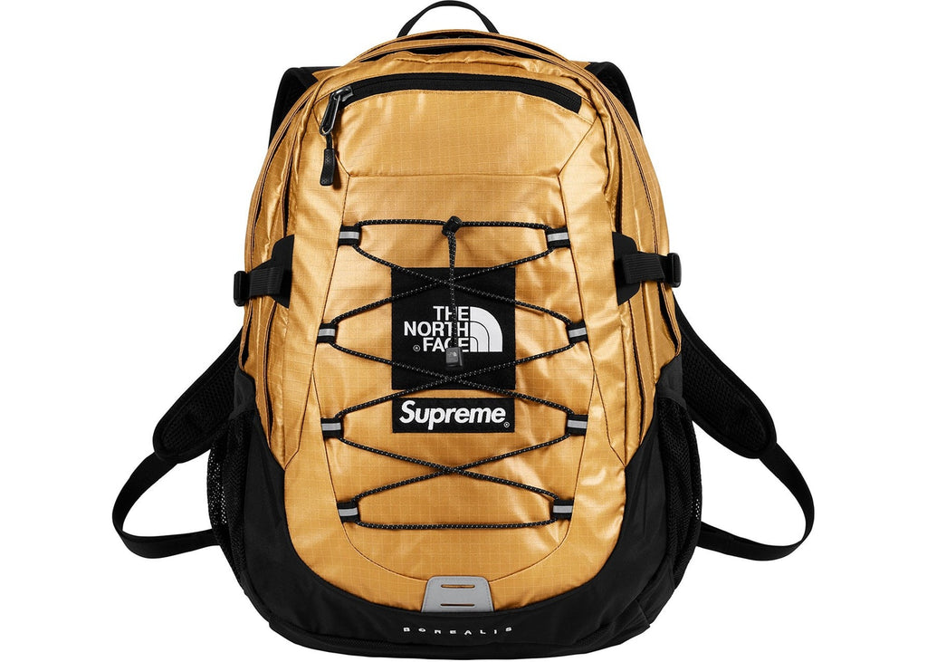 supreme the north face metallic