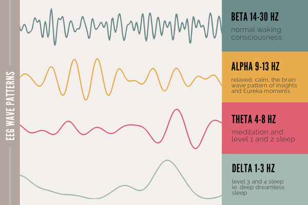 sleep stages brain waves