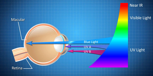 How Does Blue Light Affect Your Eyes?