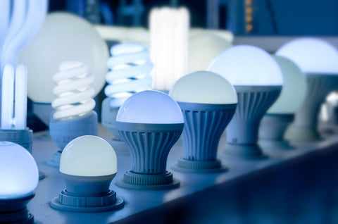 Blue LED light bulbs used to change Behaviour