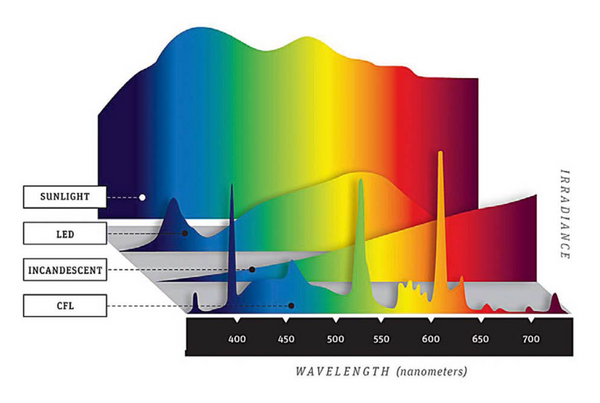 graph of sunlight vs LED light