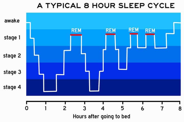 eight hour sleep cycle