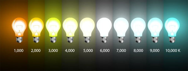 colour temperature of bulbs