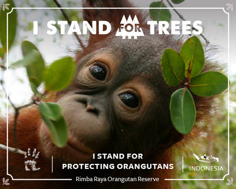 Stand For Trees