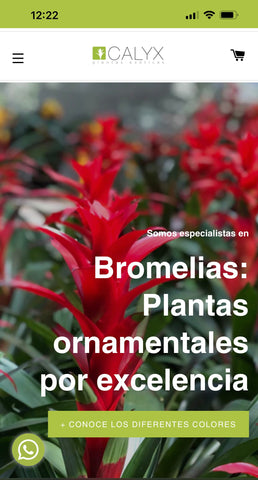 Home page www.calyxplantas.com