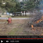 Brush burning fans video compilation
