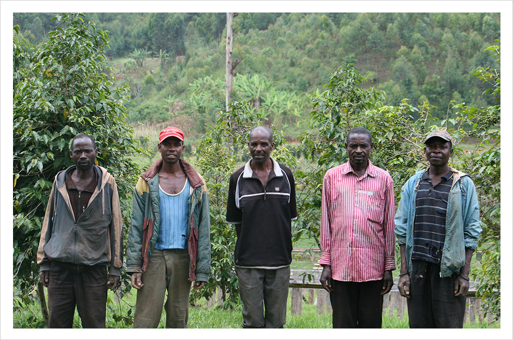 Burundi Single Origin coffee - Masha Washing Station