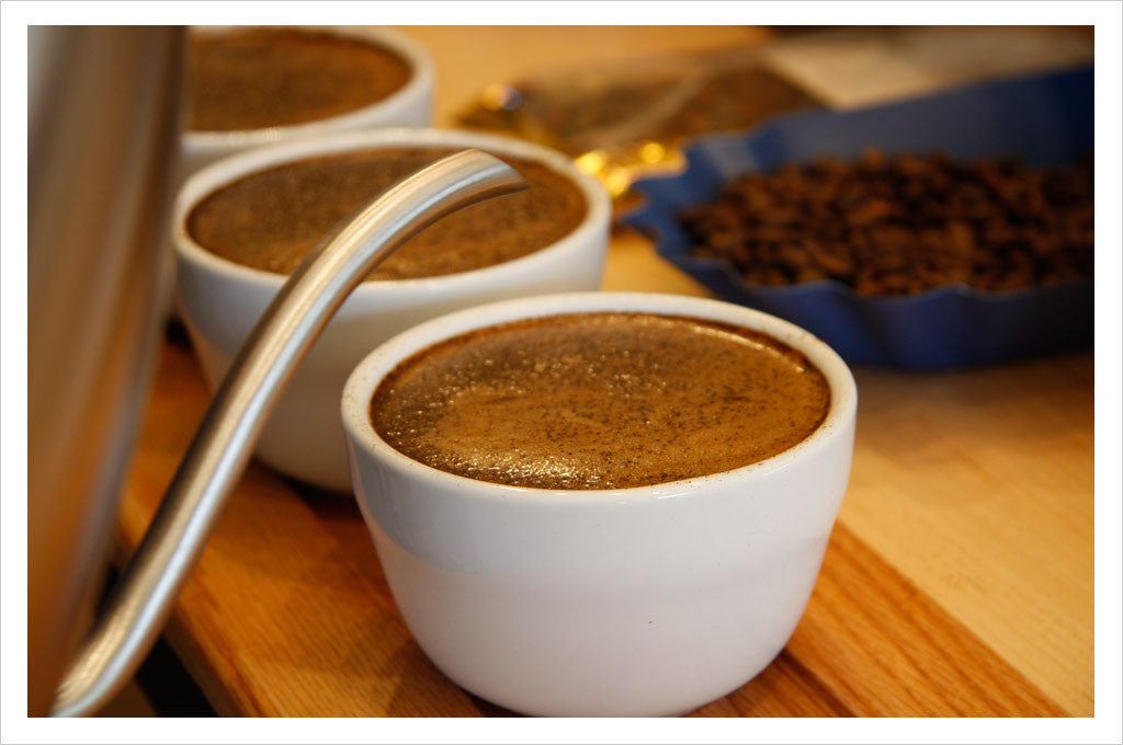 Caffe Umbria : Coffee Cupping - wet grounds
