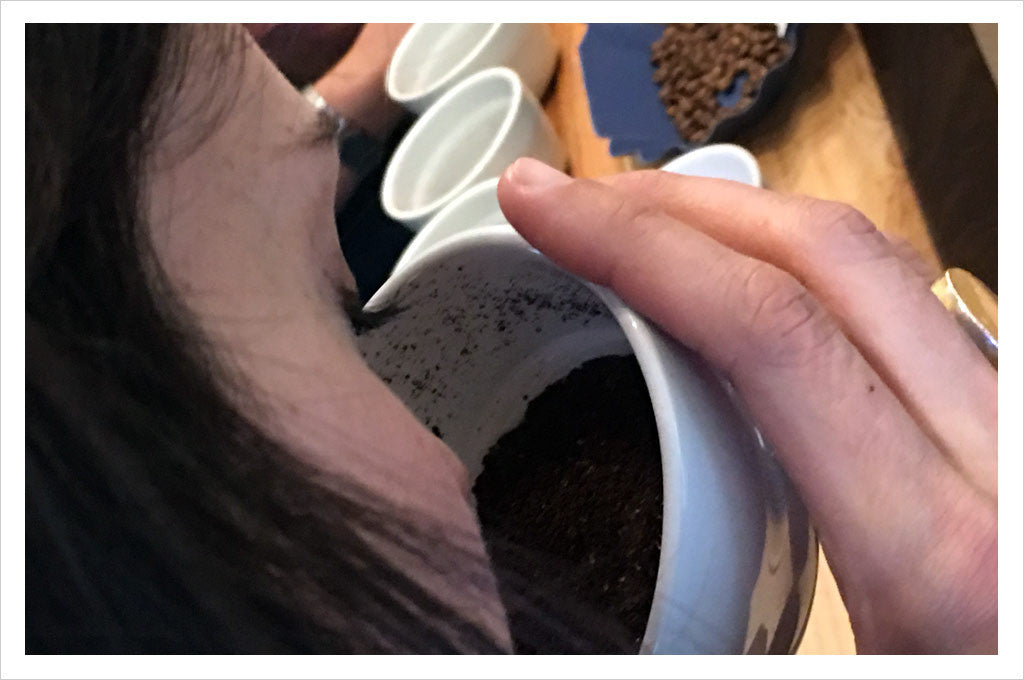 Caffe Umbria : Coffee Cupping - evaluating fragrance