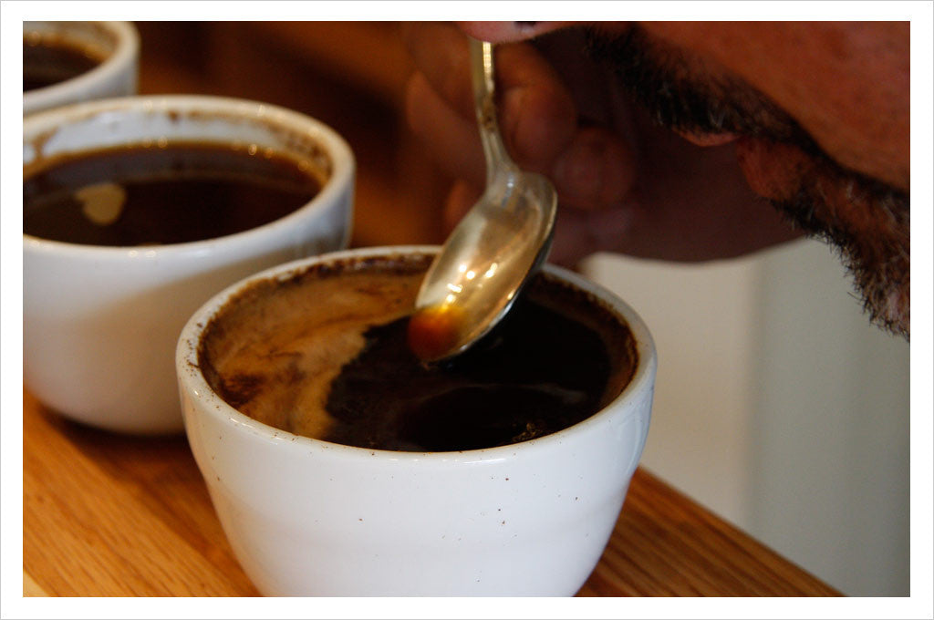 Caffe Umbria: Coffee Cupping - evaluating aroma