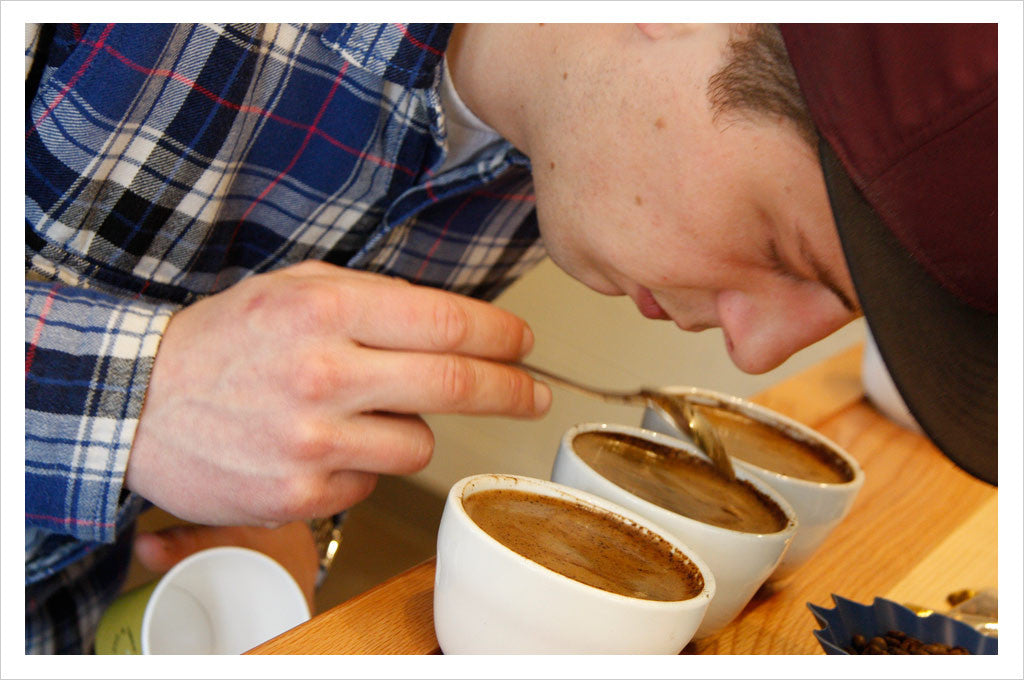 Caffe Umbria: Coffee Cupping - evaluating aroma