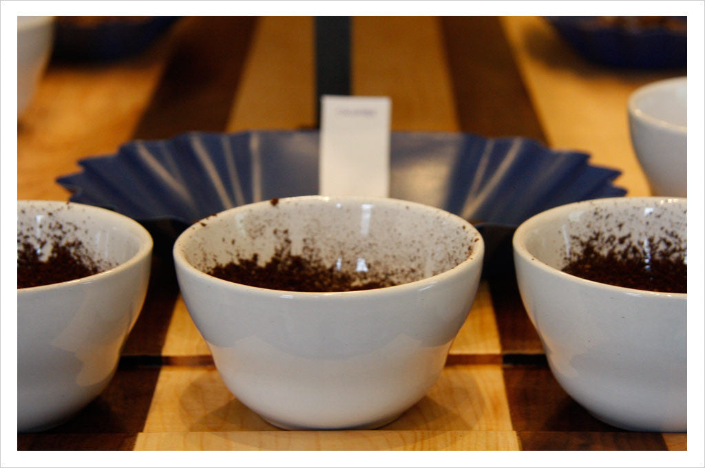 Caffe Umbria: Cupping - ground coffee samples