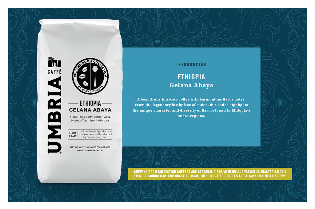 Ethiopia Gelana Abaya, the January 2019 Release in the Cupping Room Collection