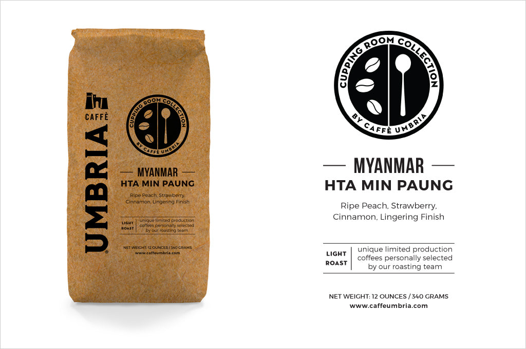 Caffe Umbria Cupping Room Collection | Myanmar Hta Min Paung