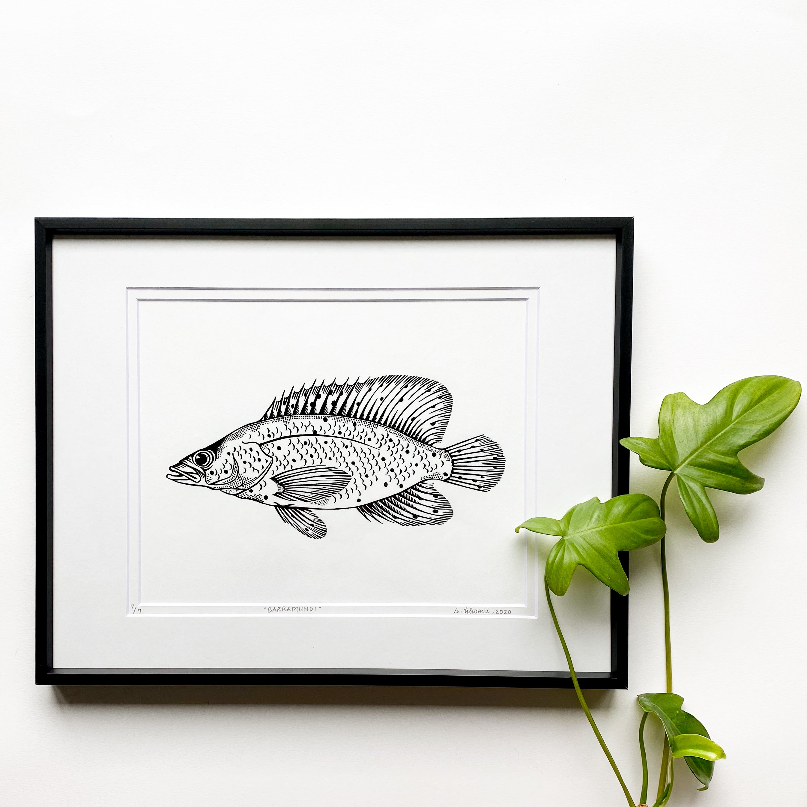 Barramundi Linocut