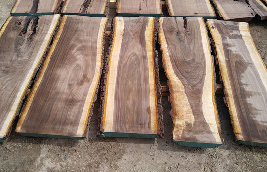 Black Walnut Wood Logs