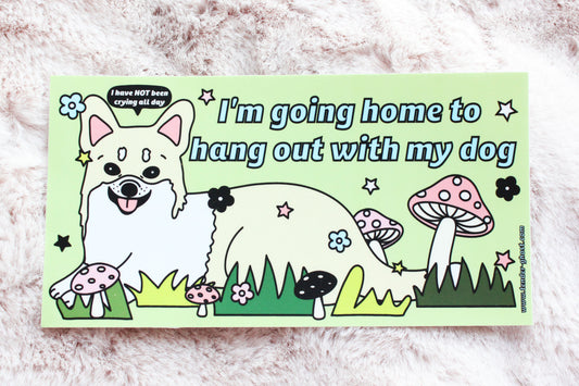 Hang Out With My Cat Bumper Sticker – Tender Ghost
