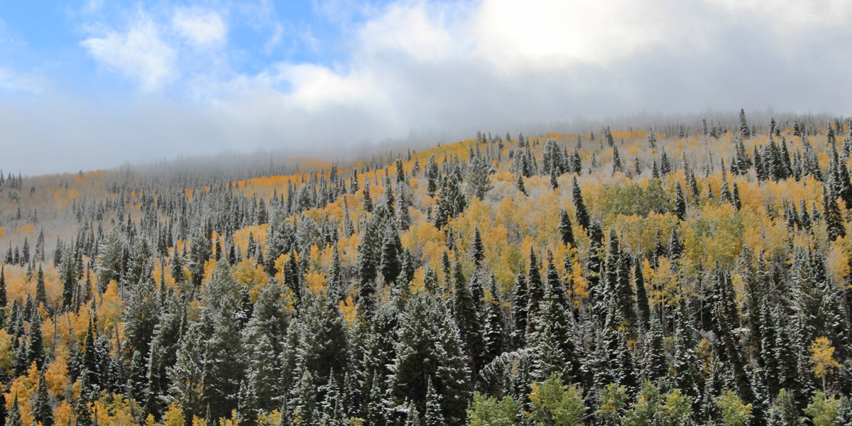 Colorado Cool Apparel Colorado Fall Colors Colorado Outdoor Sights