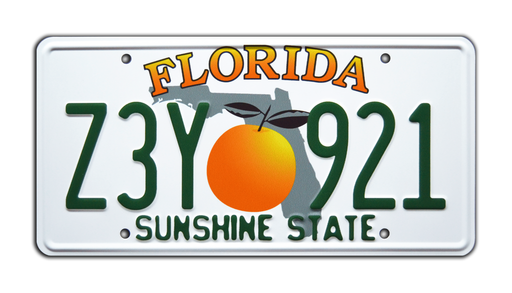 212 Main LPO6349 6 x 12 in. Baseball on Fire Centered Photo License Plate