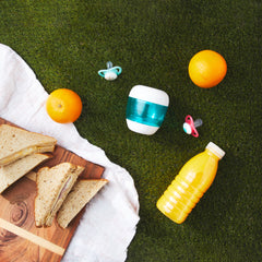 portable uv steriliser at picnic